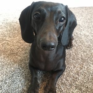 Meet your Posher, Myranda